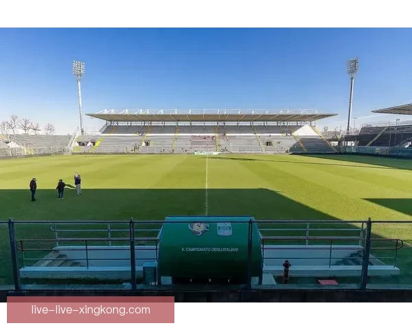 亚平宁绿茵风云意大利足球联赛百年荣耀与新时代变革竞争格局与豪门复兴
